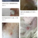 뉴케어 동물병원 이미지