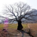 남산리