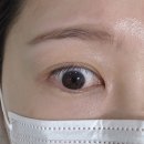 중동남부역(고가밑) | 중동역 속눈썹 뷰티샵 대표원장 1:1 맞춤 관리 속눈썹 펌 후기 [민트래쉬]