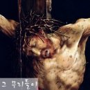 첼로(주간) 이미지