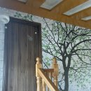 자유민박 이미지