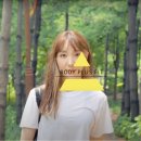 바디플러스핏 이미지