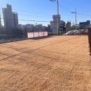 902댕스쿨 이미지