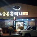 지리산운봉흙돼지 이미지