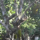 우리빌리지 이미지