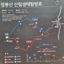 천상의화원 점봉산 곰배령 예약, 주의사항, 등산코스 자세한 후기