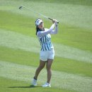 박신영 카카오 검색결과