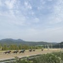 과천낙지마당 | 새로운 글씨체