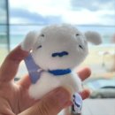 하버드어린이집 | 토익 성적 **회피**하고 놀러다니는 일상 (+여름 반성문♡)