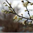 송도보건진료소 이미지