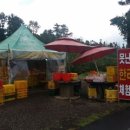 웰빙농장2 이미지