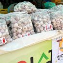 형주농장 이미지