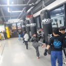강일체육관 | 충주복싱,충주킥복싱,복싱다이어트,키즈킥복싱 강일체육관 복싱다이어트킥복싱 방문후기
