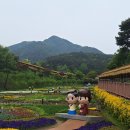 동의보감촌 이미지