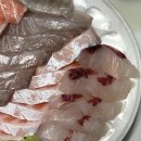 회 사가는날 이미지