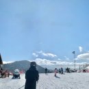 맘스터치 하이원점 이미지