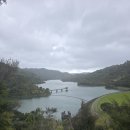 2026년 9월 12일 Suspension Bridge Track-Wairoa Loop Track 이미지