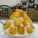 푸꾸옥 맛집 푸릇푸릇 과일가게 망고빙수,망고스틴 후기