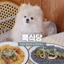 큐앤티 | 행궁동 애견동반 맛집 l 유럽 테라스 감성 제대로✨ 뽁식당 후기