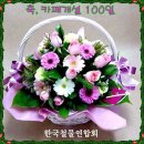 한국철물연합회 카페 개설 100일 축하합니다 이미지