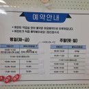 모야 이미지