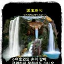 샬롬 Daum카페