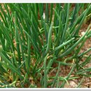 평사공원 이미지