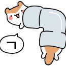 스텔라떡볶이궁동