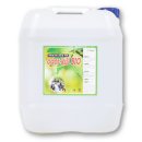 다성바이오 이미지