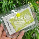 스타벅스nct 파우치 네오 키링 천러 후기 스티커팩