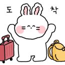 언하1동 이미지