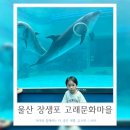 지에스25 울산장생포 | 울산 장생포 고래박물관 모노레일 고래마을까지 코스추천