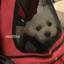 제이제이 메디칼 이미지