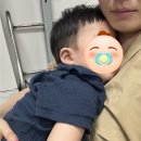 서울대본병원 | 15개월 아기 열경련/아주대학교 응급실/용인세브란스/분당서울대병원 진료 후기