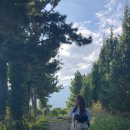 소중하냥 이미지