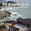 부산 해동용궁사 기장 콜버스 타바라 버스 이용후기 (국립수산과학관 해안도로, 산책길)