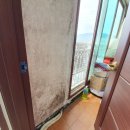 포란재로 이미지