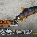 이도수산 이미지