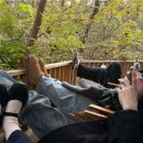 세븐일레븐 분당파빌리온점 | 중국 칭따오 2박3일여행 첫째 날 : 이징후이,중산로카페,훠궈맛집,타이동야시장,무예슬거