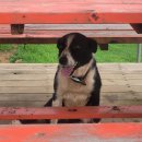 남해목장 이미지