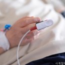 서울예쁨의원 네이버블로그