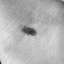 다나은동물병원 이미지