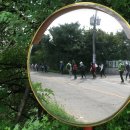 대추리길 이미지