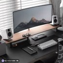 라리안 | 원목 모니터받침대 추천 듀얼모니터 책상정리 데스크테리어 히든피스 라리케어 ULTRA 후기