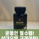 크레아2 | 삼대오백 크레아퓨어 크레아틴 정제 120정 후기