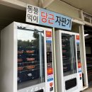 남원읍-36 | 겨울 제주 여행 가볼만한 곳, 휴애리 초등아이랑 솔직후기 (위치, 볼거리, 할인)