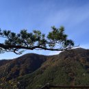 강천산군립공원 이미지