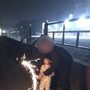 몽산포 휴림 이미지