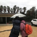 동백민박 이미지