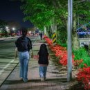 화순 하니움문화스포츠센터 테니스장 이미지